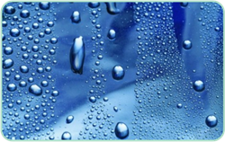 尊龙官方网站 - (中国区)首页