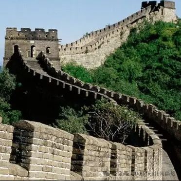 尊龙官方网站 - (中国区)首页