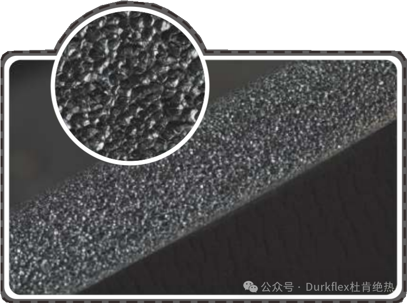 尊龙官方网站 - (中国区)首页