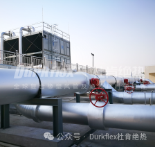 尊龙官方网站 - (中国区)首页