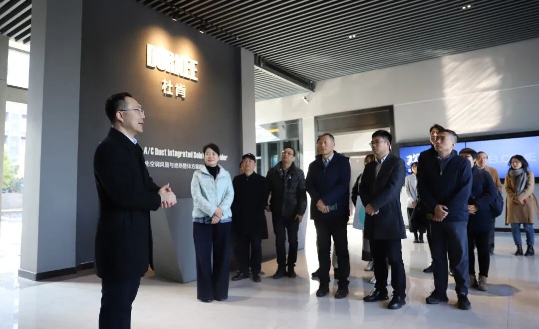 尊龙官方网站集团金海丰先生做外商企业做解说决